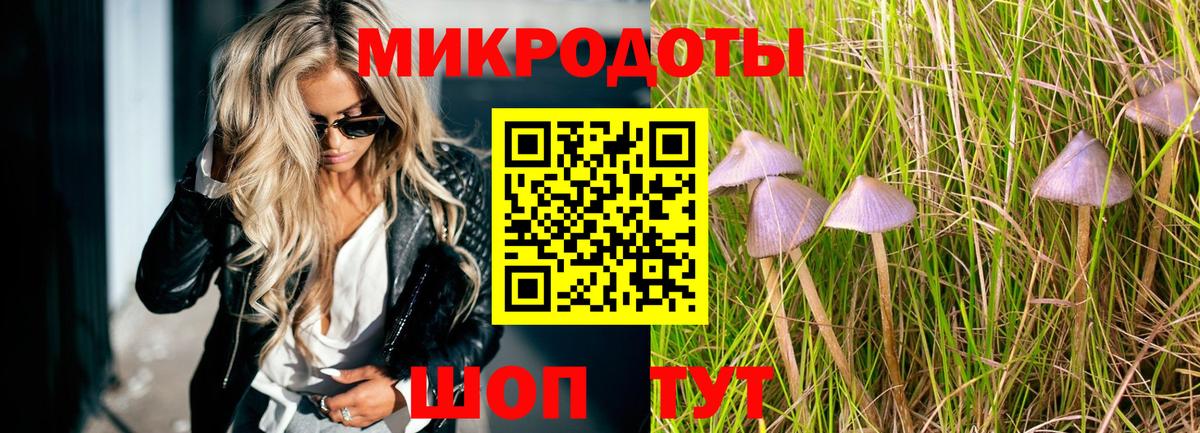 Галлюциногенные грибы Magic Shrooms  как найти закладки  Кольчугино  Вход с VPN  Галлюциногенные грибы ЛСД 