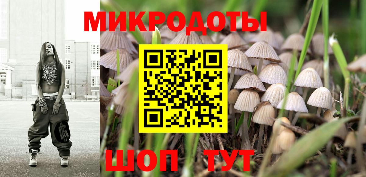 Псилоцибиновые грибы Psilocybine cubensis Кольчугино